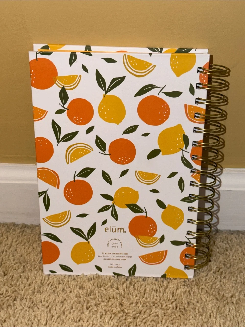 Elum Citrus Notes Spiral Journal — Orange & Yellow